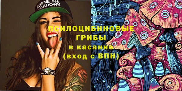 PSILOCYBIN Михайлов