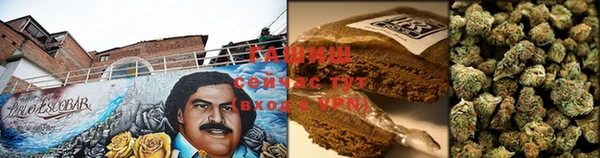 PSILOCYBIN Медногорск
