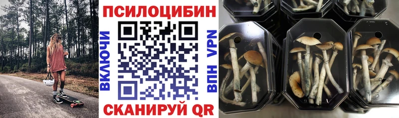 Галлюциногенные грибы мухоморы Малоархангельск